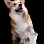Electric Dog Paw Washer – Portable Paw Cleaner for Muddy Paws