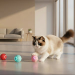 Interactive automatic rolling ball cat toy for indoor cats