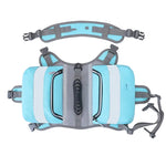 Light blue and gray back support brace on a white background