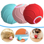 Three colorful ball-shaped pet toys with a blue line separating them, and images of pets interacting with the toys below.